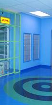Secure retail display