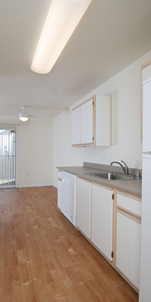 Renovated kitchen