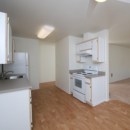 Renovated kitchen living dining area