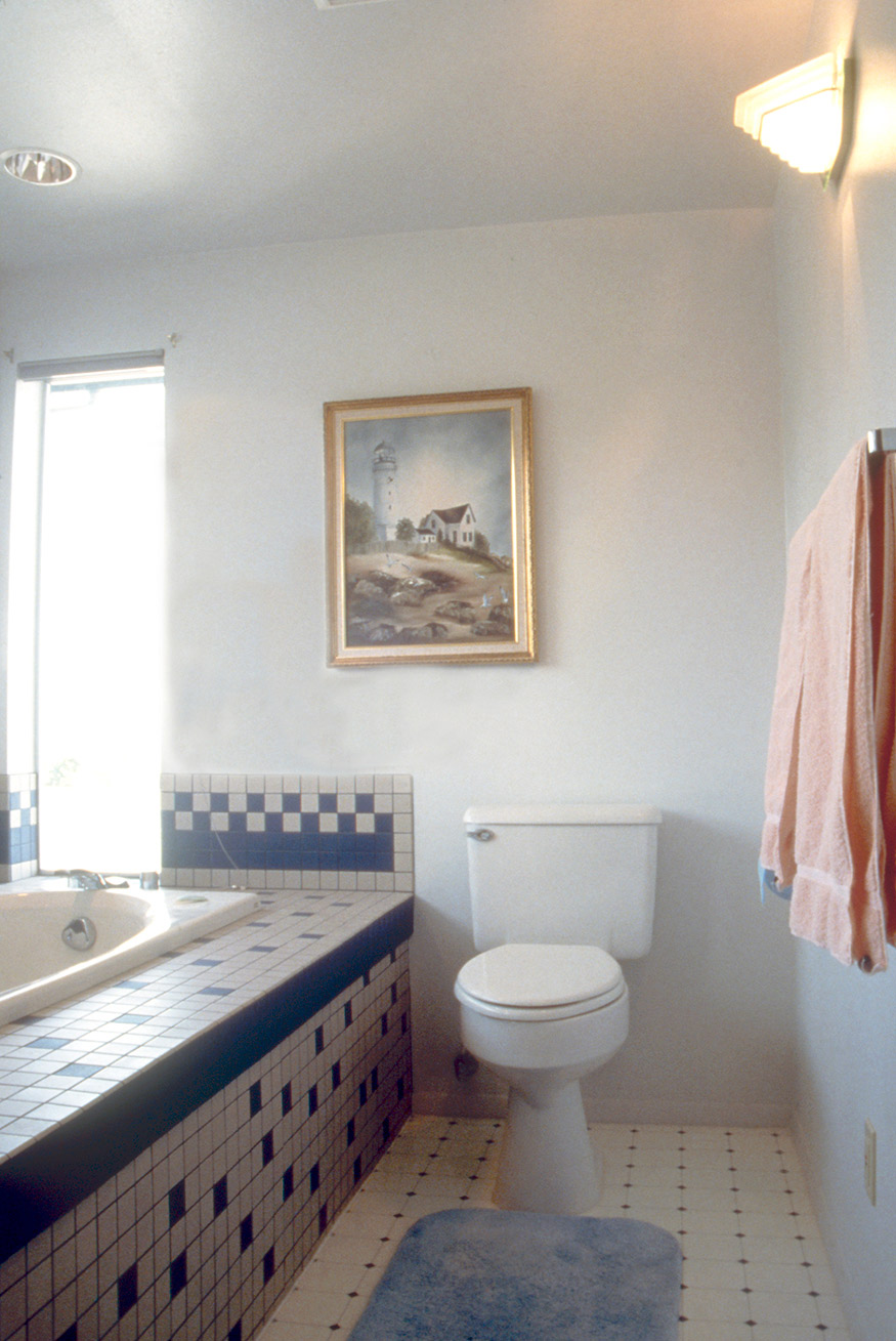 Soaking Tub Views the Olympic Mountains
