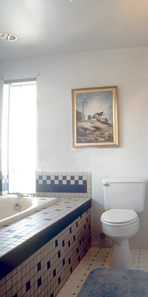 Seattle Residence Addition Soaking Tub